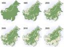 deforestationBorneo